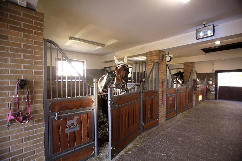 Bed and breakfast Estancja Mezowo
